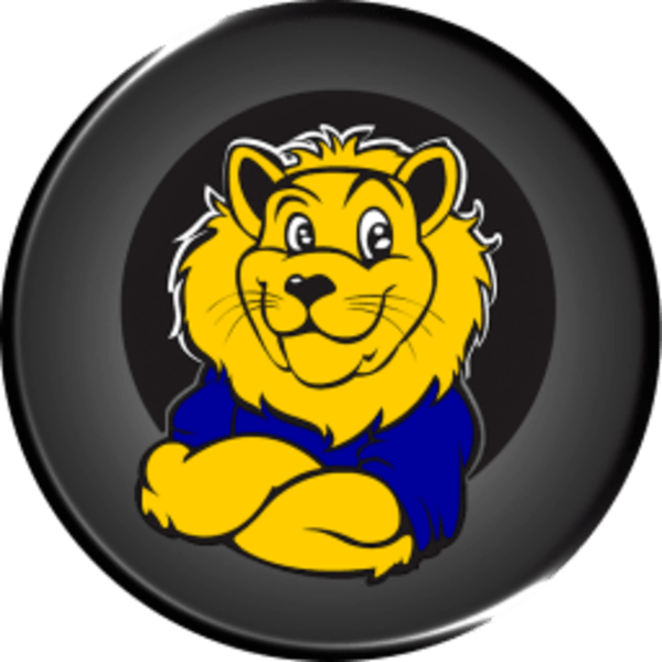 Enrichment / EnrichmentBASES / BaldwinBASES Rochester Community Schools