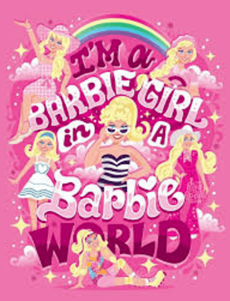 502. Barbie World flyer