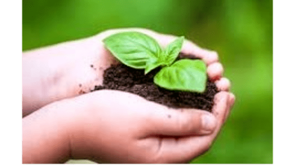 702. Sow and Grow flyer