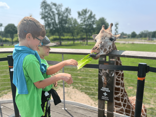 Child Care Services Logo