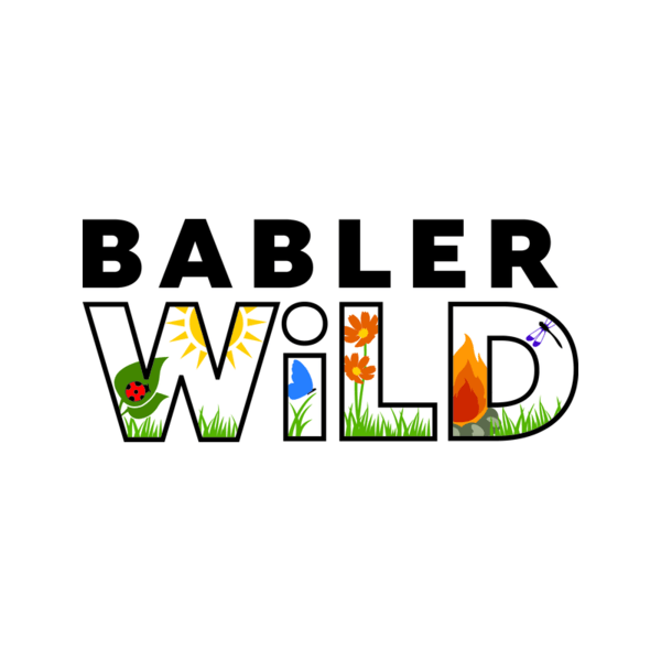 Bablerwild Full Day Camps Wild Outdoor Weeks Parkway Rockwood Community Ed