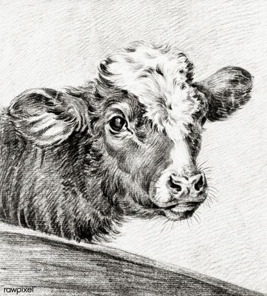 Young Rembrandts Drawing Palooza (K2) (Armatage) Minneapolis Public