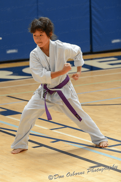Kung Fu Purple Black Belt ages 5 adult District 196 Community 