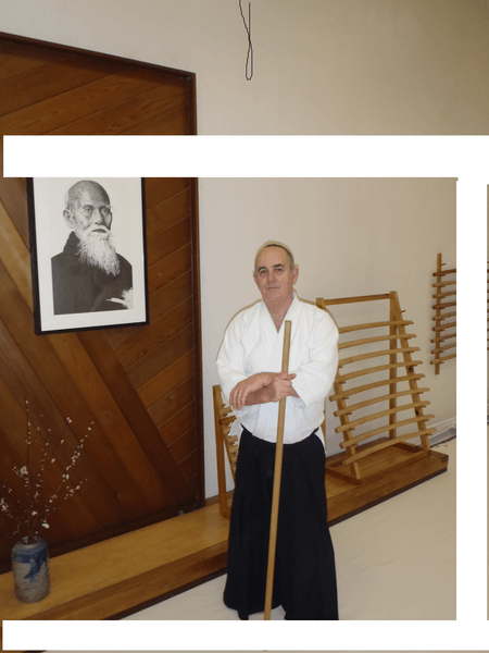 Aikido District 196 Community Education