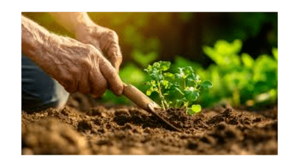 Permaculture Foundations: Horticulture Day 2026 Deep Dive