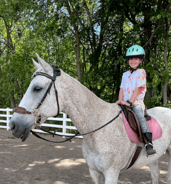 Boulder Pointe Equestrian Horse Day Camp Community Education
